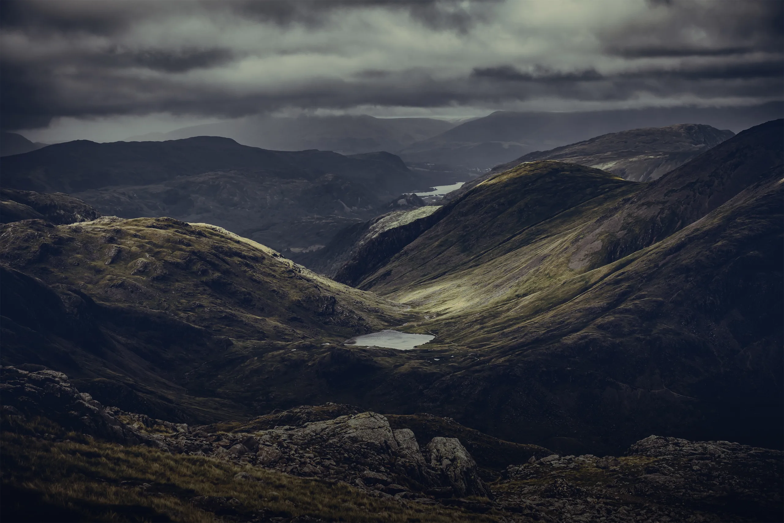 Halliday Munro