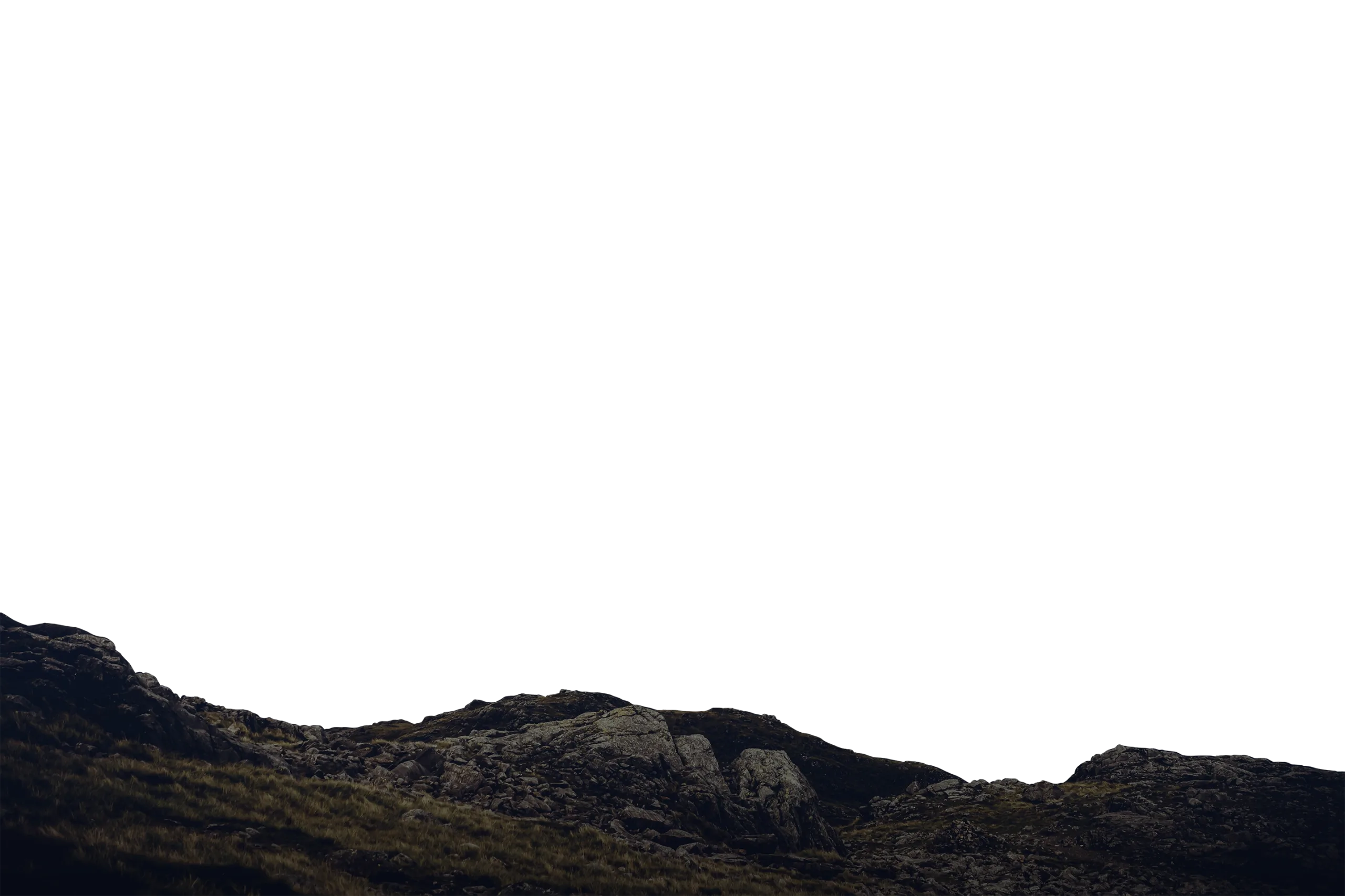 Halliday Munro