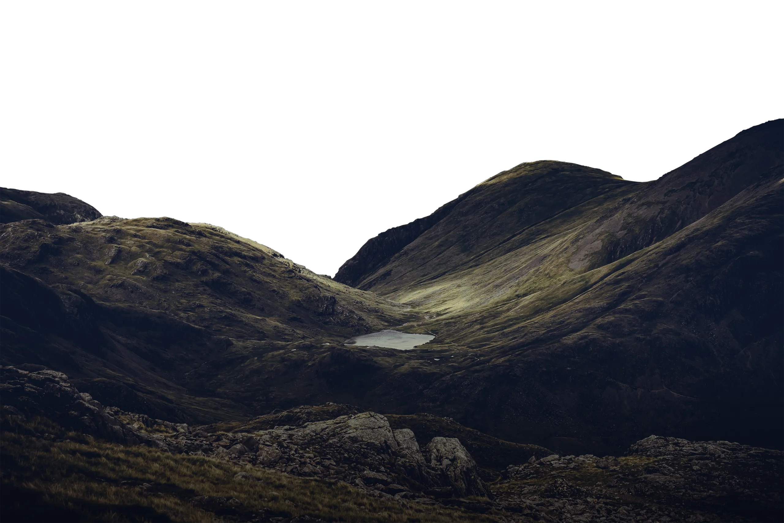 Halliday Munro